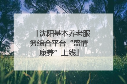 沈阳基本养老服务综合平台“盛情康养”上线