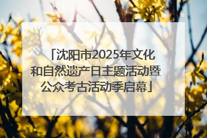 沈阳市2025年文化和自然遗产日主题活动暨公众考古活动季启幕