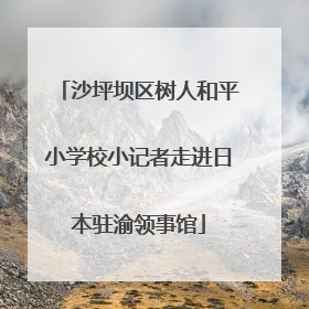 沙坪坝区树人和平小学校小记者走进日本驻渝领事馆