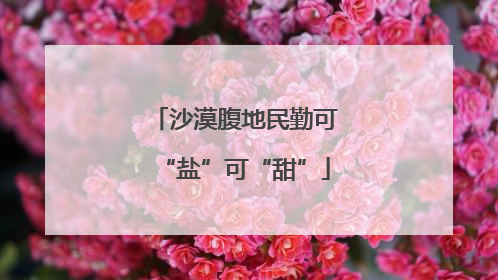 沙漠腹地民勤可“盐”可“甜”