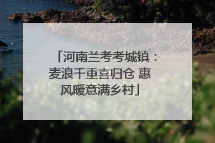 河南兰考考城镇：麦浪千重喜归仓 惠风暖意满乡村