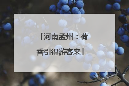 河南孟州：荷香引得游客来