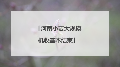 河南小麦大规模机收基本结束