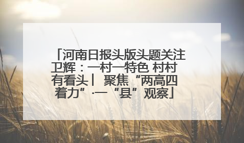 河南日报头版头题关注卫辉：一村一特色 村村有看头 ︳聚焦“两高四着力”·一“县”观察