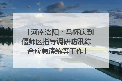 河南洛阳：马怀庆到偃师区指导调研防汛综合应急演练等工作