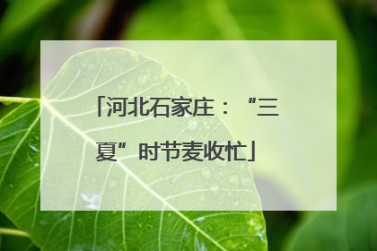 河北石家庄：“三夏”时节麦收忙