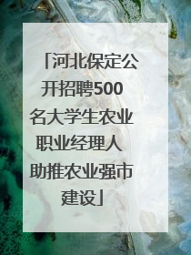 河北保定公开招聘500名大学生农业职业经理人 助推农业强市建设