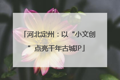 河北定州：以“小文创”点亮千年古城IP