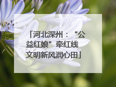 河北深州：“公益红娘”牵红线 文明新风润心田