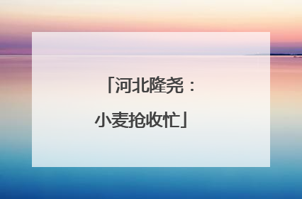 河北隆尧：小麦抢收忙