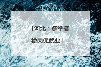 河北：多举措稳岗促就业