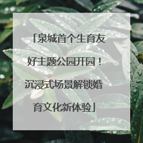 泉城首个生育友好主题公园开园！沉浸式场景解锁婚育文化新体验