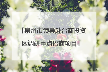 泉州市领导赴台商投资区调研重点招商项目