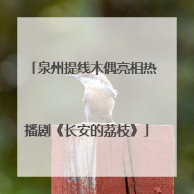泉州提线木偶亮相热播剧《长安的荔枝》