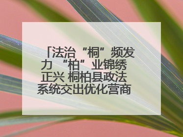 法治“桐”频发力 “柏”业锦绣正兴 桐柏县政法系统交出优化营商环境“成绩单”