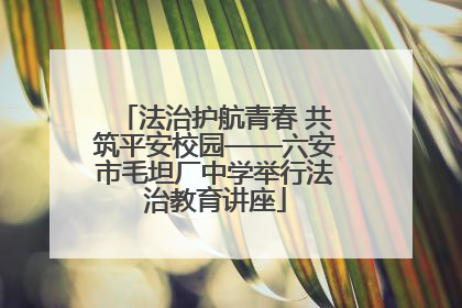 法治护航青春 共筑平安校园——六安市毛坦厂中学举行法治教育讲座