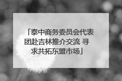 泰中商务委员会代表团赴吉林推介交流 寻求共拓东盟市场