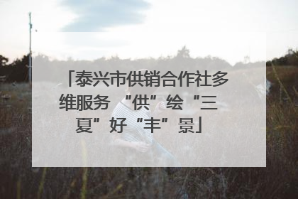 泰兴市供销合作社多维服务 “供”绘“三夏”好“丰”景