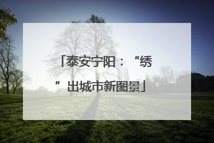 泰安宁阳：“绣”出城市新图景