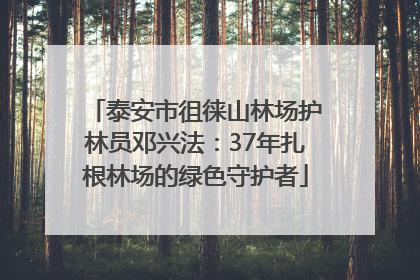 泰安市徂徕山林场护林员邓兴法：37年扎根林场的绿色守护者