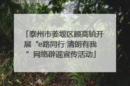 泰州市姜堰区顾高镇开展“e路同行 清朗有我”网络辟谣宣传活动