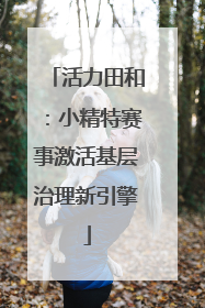 活力田和：小精特赛事激活基层治理新引擎