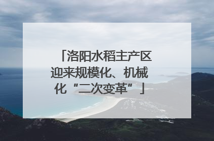 洛阳水稻主产区迎来规模化、机械化“二次变革”