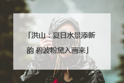 洪山：夏日水景添新韵 碧波粉黛入画来