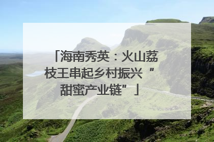 海南秀英：火山荔枝王串起乡村振兴“甜蜜产业链”