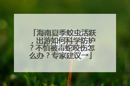 海南夏季蚊虫活跃，出游如何科学防护？不慎被毒蛇咬伤怎么办？专家建议→