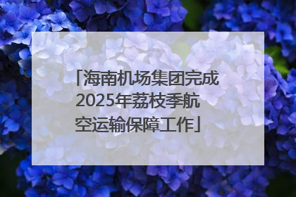 海南机场集团完成2025年荔枝季航空运输保障工作