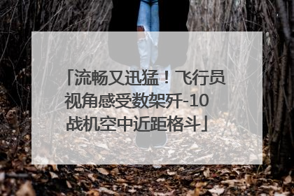 流畅又迅猛！飞行员视角感受数架歼-10战机空中近距格斗