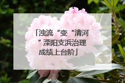 浊流“变“清河“ 溧阳支浜治理成绩上台阶