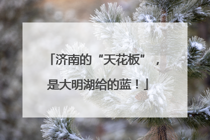 济南的“天花板”，是大明湖给的蓝！