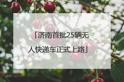 济南首批25辆无人快递车正式上路