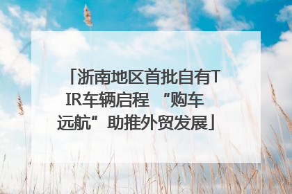 浙南地区首批自有TIR车辆启程 “购车远航”助推外贸发展