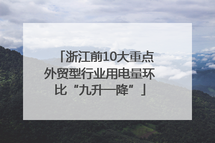 浙江前10大重点外贸型行业用电量环比“九升一降”