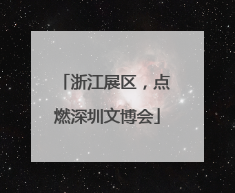 浙江展区，点燃深圳文博会