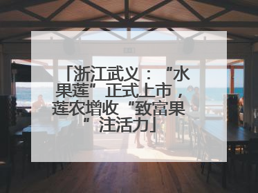 浙江武义：“水果莲”正式上市，莲农增收“致富果”注活力
