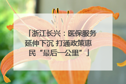 浙江长兴：医保服务延伸下沉 打通政策惠民“最后一公里”