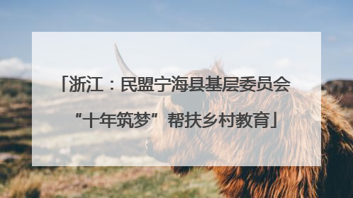 浙江：民盟宁海县基层委员会“十年筑梦”帮扶乡村教育