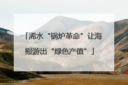 浠水“锅炉革命”让海鳗游出“绿色产值”