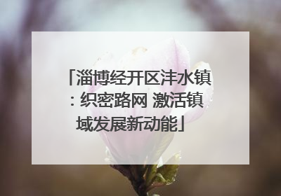 淄博经开区沣水镇：织密路网 激活镇域发展新动能