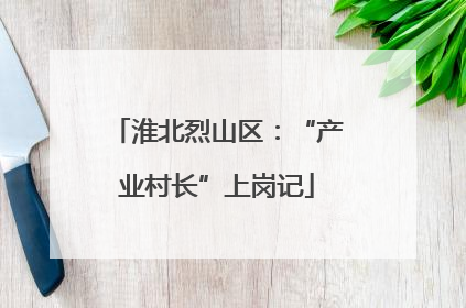 淮北烈山区：“产业村长”上岗记