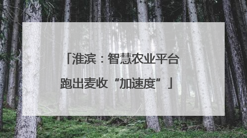淮滨：智慧农业平台跑出麦收“加速度”