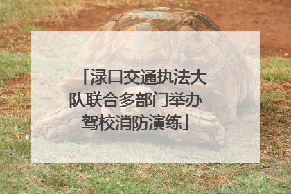 渌口交通执法大队联合多部门举办驾校消防演练