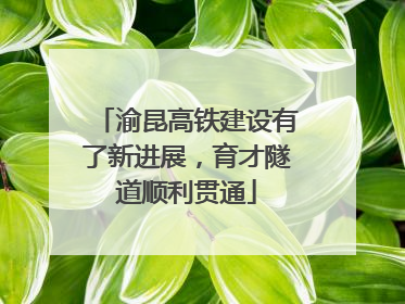 渝昆高铁建设有了新进展，育才隧道顺利贯通