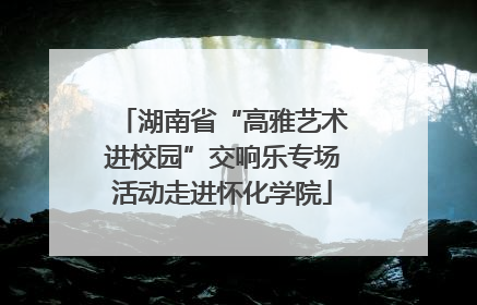 湖南省“高雅艺术进校园”交响乐专场活动走进怀化学院