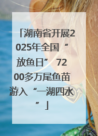 湖南省开展2025年全国“放鱼日” 7200多万尾鱼苗游入“一湖四水”