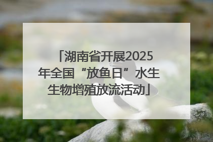 湖南省开展2025年全国“放鱼日”水生生物增殖放流活动